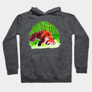 Sleeping Red Panda Hoodie